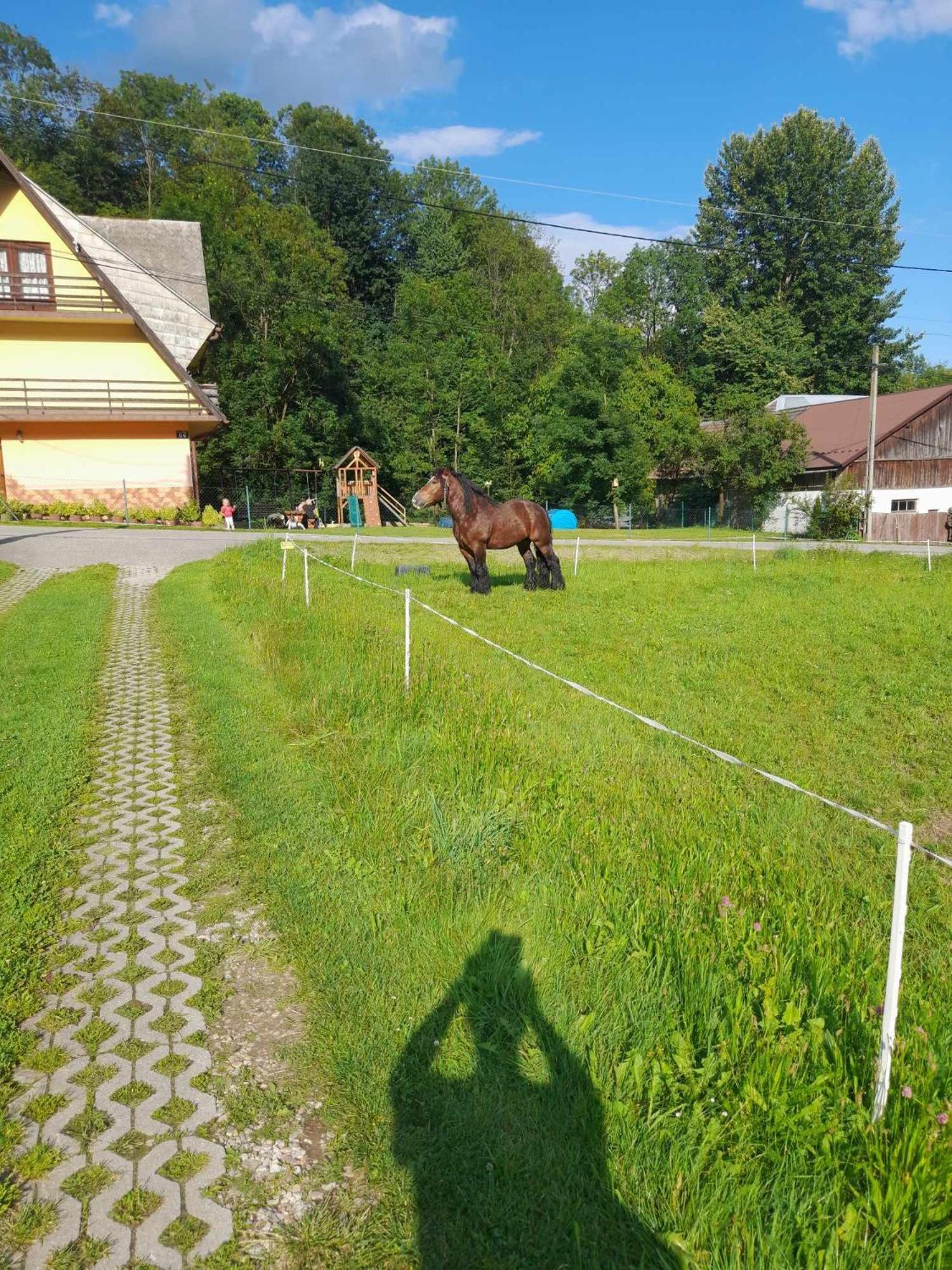 Zakatek Pienin Grywald Exterior foto